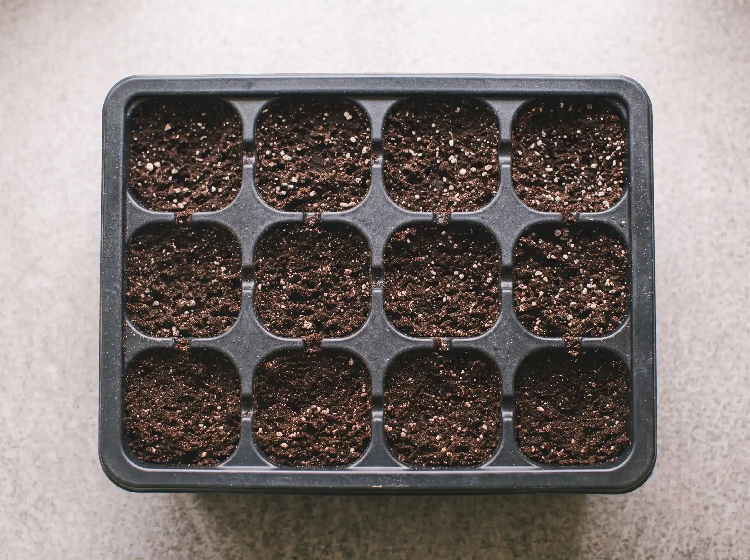 Substrat de culture préhumidifié