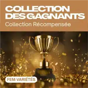 Collection des gagnants féminisée avec trophée doré et confettis.