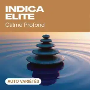 Indica elite auto avec pierres zen empilées sur l’eau.