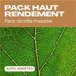 Pack haut rendement auto avec gros plan de feuille verte.