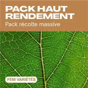 Pack haut rendement féminisé avec feuille verte texturée.