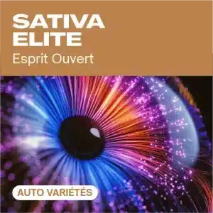 Sativa elite auto avec œil coloré aux reflets lumineux.