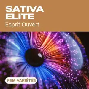 Sativa elite féminisée avec iris multicolore lumineux.