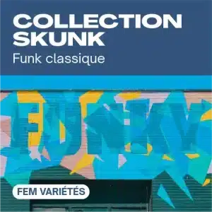 Collection skunk féminisée avec graffiti bleu sur mur.
