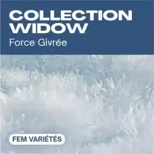 Collection widow féminisée avec cristaux givrés blancs.