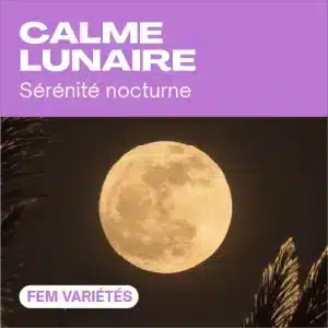 Calme lunaire féminisée avec pleine lune dorée nocturne.