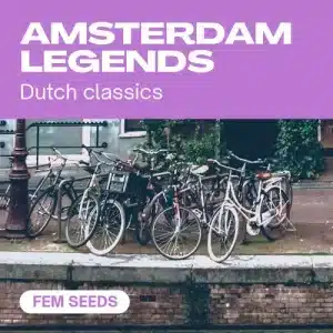 Amsterdam legends féminisée avec vélos au bord d’un canal.