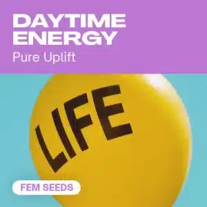 Énergie diurne féminisée avec ballon jaune marqué life.