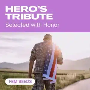 Hommage aux héros féminisée avec soldat portant drapeau américain.