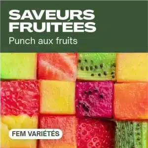 Saveurs fruitées féminisées avec cubes colorés de fruits.