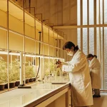 Scientifiques en blouse blanche examinant des plantes dans un laboratoire botanique high-tech.
