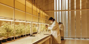 Scientifiques en blouse blanche examinant des plantes dans un laboratoire botanique high-tech.