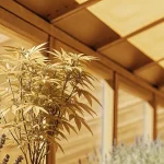 close-up of a cannabis plant with golden leaves in a sunlit greenhouse