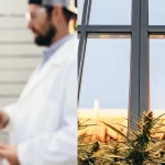 Main tenant flacon d'extrait doré, scientifique flou, et plante de cannabis sous fenêtre.