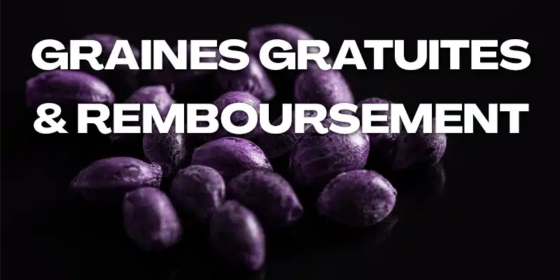 Des graines violettes reposent sur une surface noire. Le texte en lettres majuscules blanches dit : "GRAINES GRATUITES & REMBOURSEMENT".
