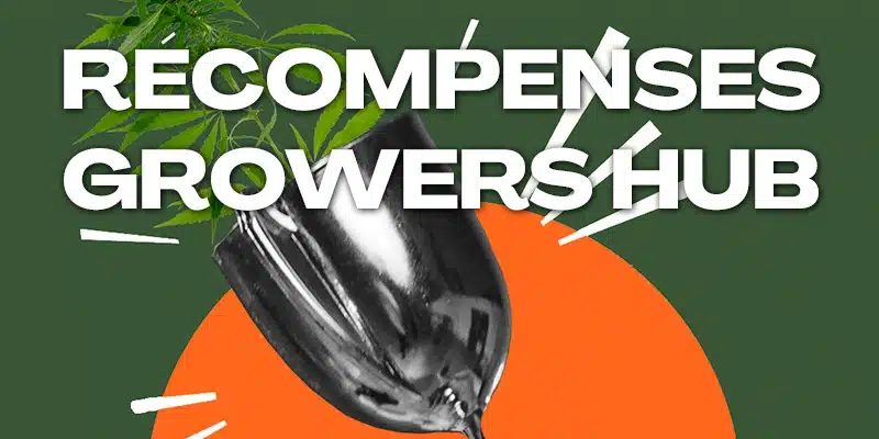 Un trophée argenté incliné émerge de feuilles vertes, entouré d'un fond vert et orange. Texte : "RÉCOMPENSES GROWERS HUB".