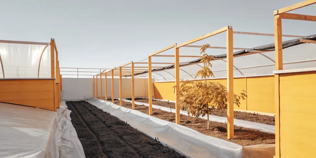 Serre moderne en bois pour culture de cannabis, avec sol préparé et structures de soutien.