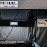installation de culture intérieure Blue Grape Fuel avec système d’éclairage et nutriments pour la floraison.