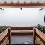 jeunes plants de cannabis cultivés en intérieur dans des bacs en bois sous une lumière LED blanche.