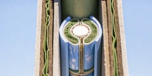 Structure cellulaire végétale adaptée aux climats arides en gros plan hyper réaliste.