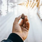 une main tient une graine de cannabis sous la lumière du soleil filtrée par les arbres.