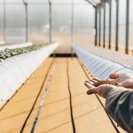un agriculteur tient des graines dans ses mains à l’intérieur d’une serre moderne.