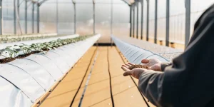 un agriculteur tient des graines dans ses mains à l’intérieur d’une serre moderne.