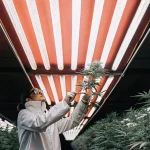 Chercheuse en blouse examinant une plante de cannabis sous éclairage LED dans une salle de culture intérieure contrôlée.