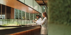 Analyse scientifique de plantes par des chercheuses en blouse dans un laboratoire moderne avec équipements et échantillons végétaux.
