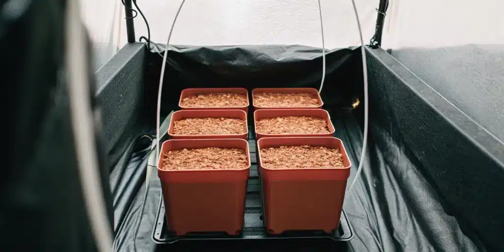 pots rouges avec substrat prêt pour la culture intérieure de cannabis.