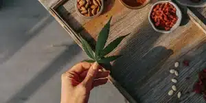Main tenant une feuille de cannabis au-dessus d’un plateau en bois rempli de baies de goji et de noix.