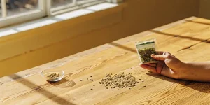 une main tient un sachet de graines au-dessus d’une table en bois éclairée par le soleil.