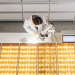 Scientifique analysant des échantillons de cannabis sous éclairage LED dans un laboratoire de recherche moderne.