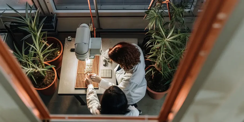 Analyse scientifique de plants de cannabis en laboratoire avec microscope et plantes en pots.
