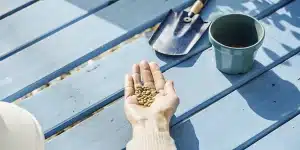 Graines de cannabis reposant dans la main, prêtes pour le semis, avec des outils de jardinage sur une table en bois.