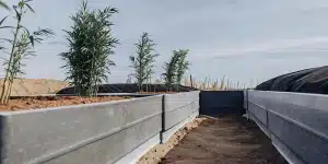 Outdoor cannabis young plants beds montrant de jeunes plants alignés dans des bacs surélevés sous un ciel clair.