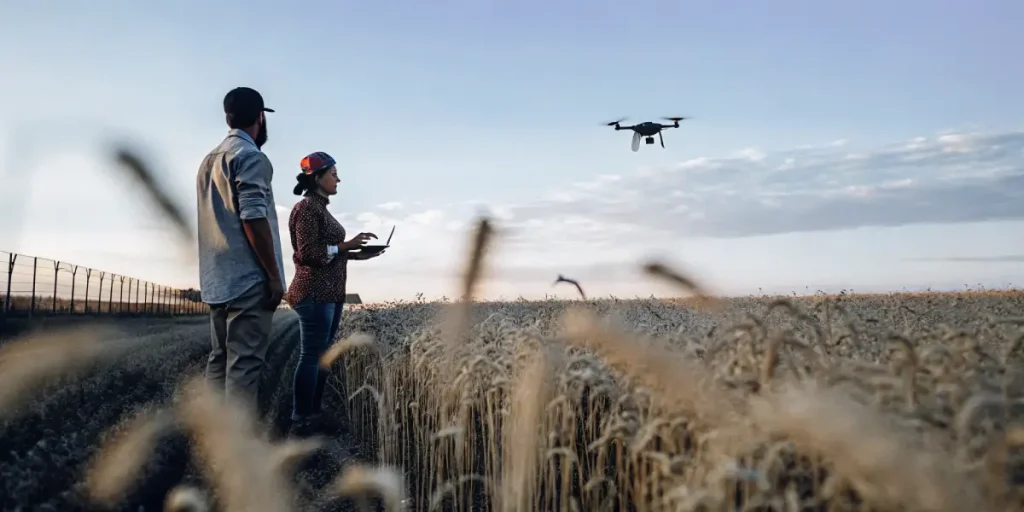 Agriculteurs utilisant un drone pour surveiller un champ agricole au crépuscule, illustrant l’agriculture de précision.