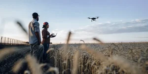 Agriculteurs utilisant un drone pour surveiller un champ agricole au crépuscule, illustrant l’agriculture de précision.