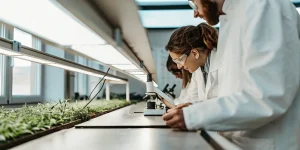 Scientifiques examinant des plants de cannabis au microscope dans un laboratoire de recherche spécialisé.
