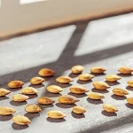 Graines de cannabis soigneusement disposées sur une surface en bois, éclairées par la lumière naturelle près d’une fenêtre.