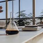 Recherche scientifique sur le cannabis avec analyse de solutions et plantes en laboratoire moderne.