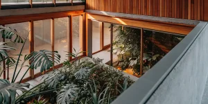 Serre moderne intérieure remplie de plantes luxuriantes bénéficiant d’une lumière naturelle filtrée à travers de grandes baies vitrées.