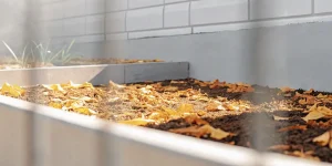 Sol riche en compost organique recouvert de feuilles mortes, favorisant la vie microbienne et la fertilité du substrat.