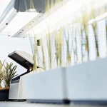 Analyse plantes laboratoire eclairage LED avec echantillons en pots sous lumiere blanche.