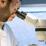 Scientifiques analysant un échantillon de cannabis au microscope en laboratoire.