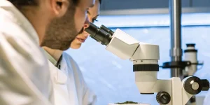 Scientifiques analysant un échantillon de cannabis au microscope en laboratoire.