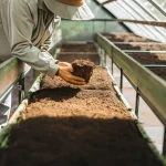 Agriculteur verifiant la qualite du substrat dans une serre de culture.