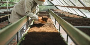 Agriculteur verifiant la qualite du substrat dans une serre de culture.