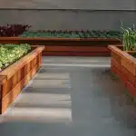 Jardin potager en bacs surélevés en bois avec cultures variées.