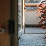 Plantes de cannabis cultivées en pots près d’une porte ouverte avec lumière naturelle.